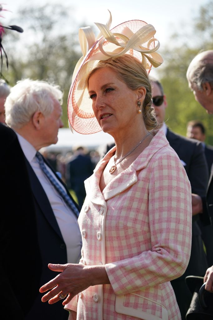 Sophie, Duchess of Edinburgh chatting in fascinator and pink check dress 