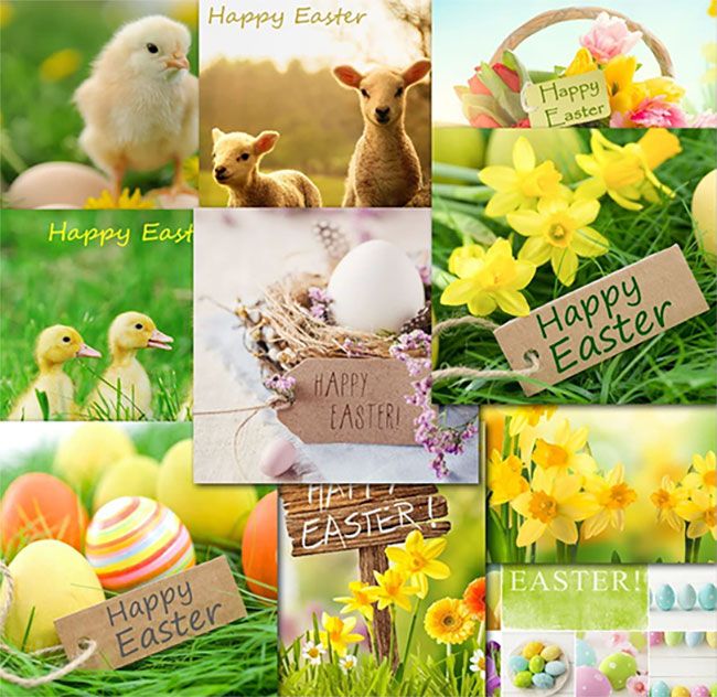easter 10 cards