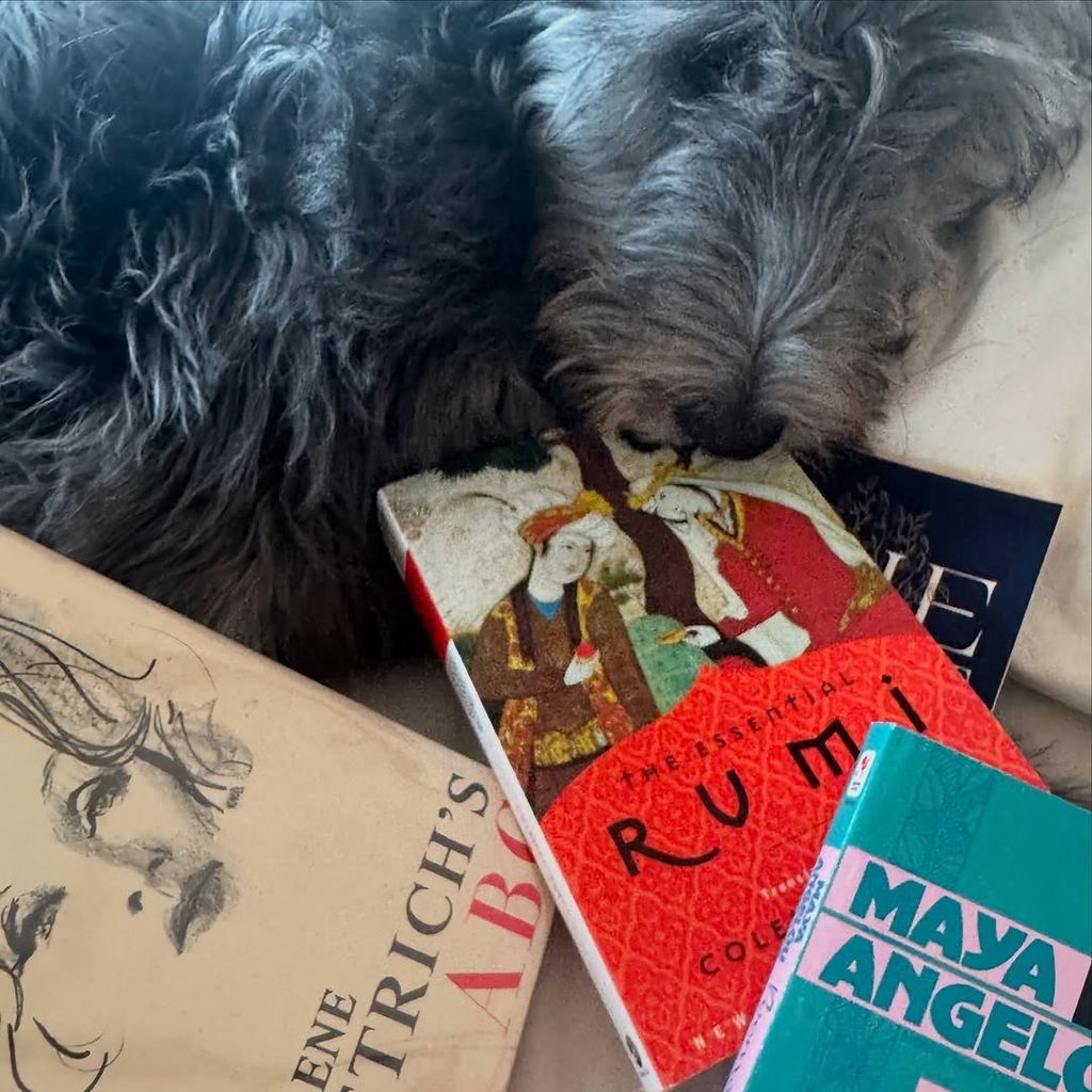 Eva Mendes shared a photo of her dog cuddled up with some books