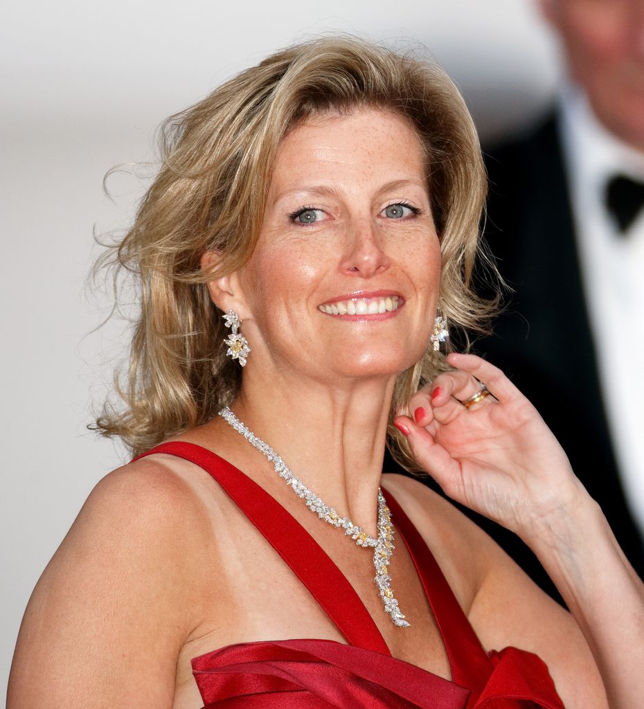  Duchess Sophie attends a pre-wedding gala dinner on the eve of the Royal Wedding of Prince William to Catherine Middleton at the Mandarin Oriental Hyde Park on April 28, 2011