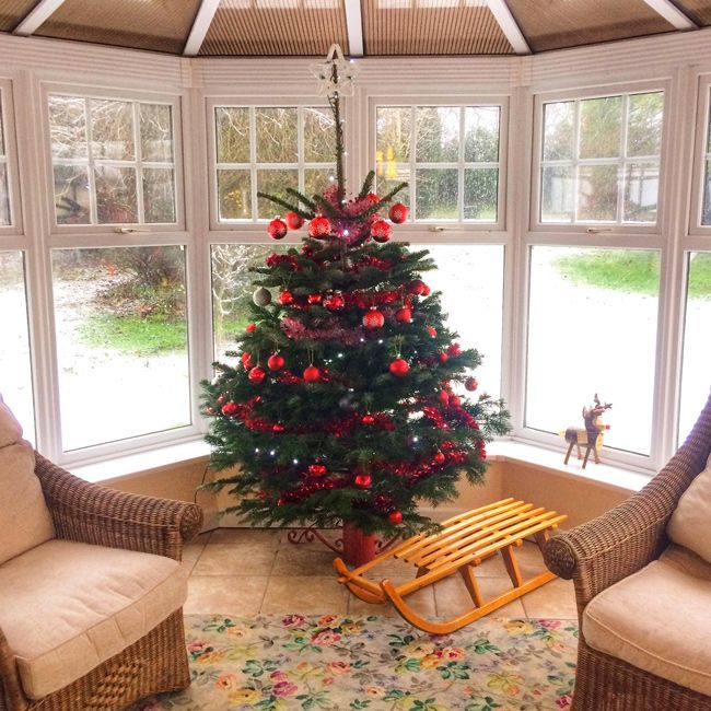 christmas tree conservatory
