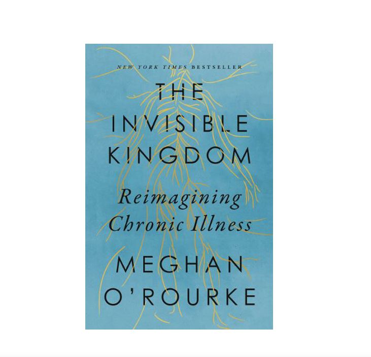 the invisible kingdom book 