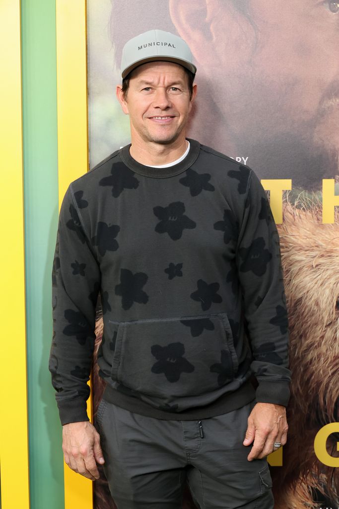 Mark Wahlberg plays a pilot