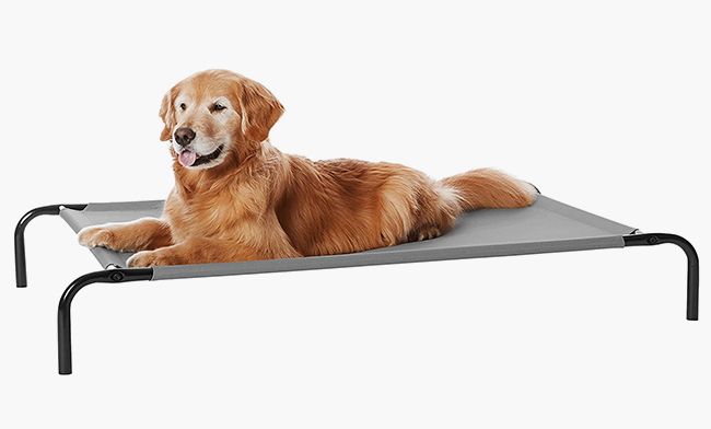 Elevated dog bed