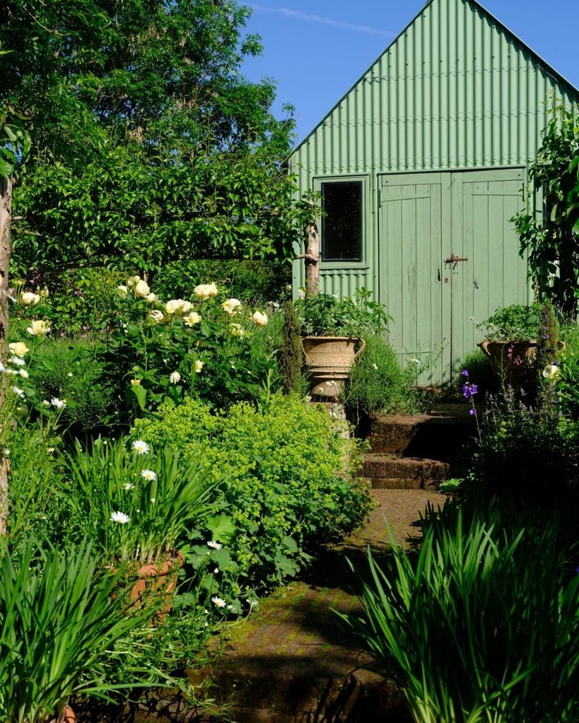 green shed in garden