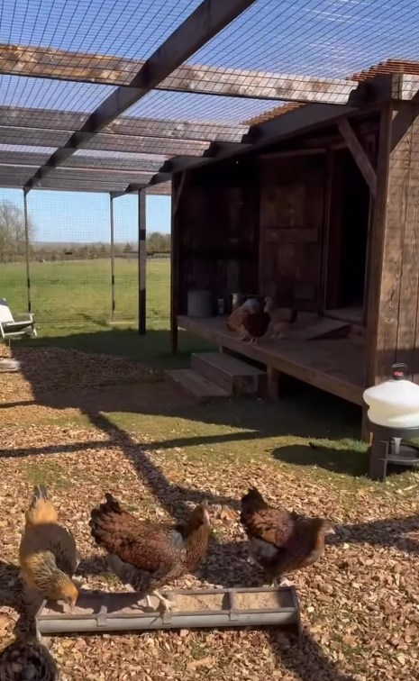 Screenshot of chicken coop outside of Ellen's Cotswold farmhouse