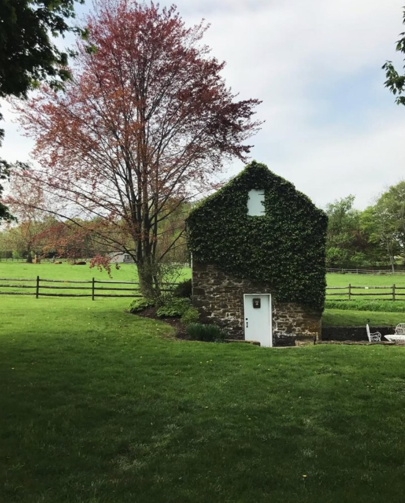 Yolanda's green garden 