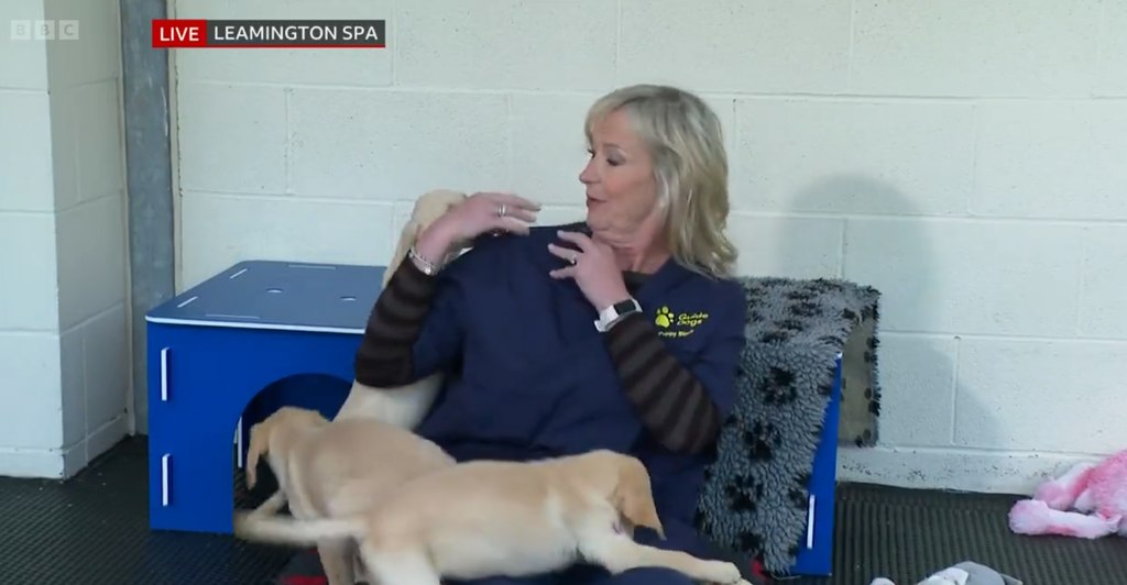 Carol Kirkwood surrounded by puppies on Breakfast