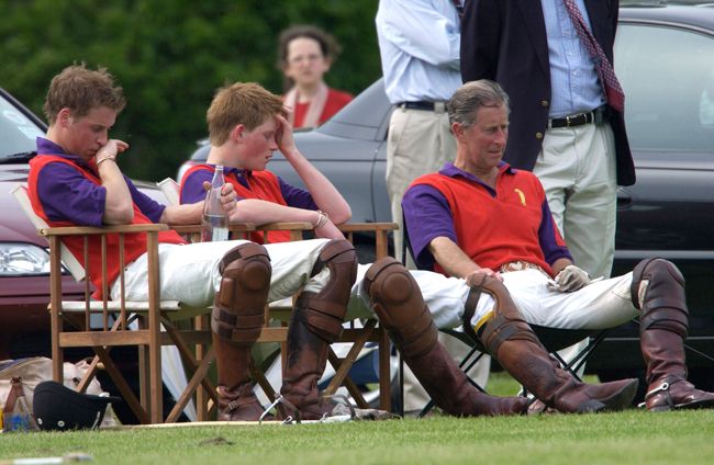 King Charles, Prince Harry and Prince William sitting down outside in red polo outfits