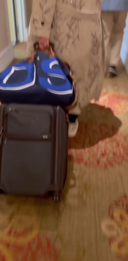 Meghan's travel bag can be seen in her social media video