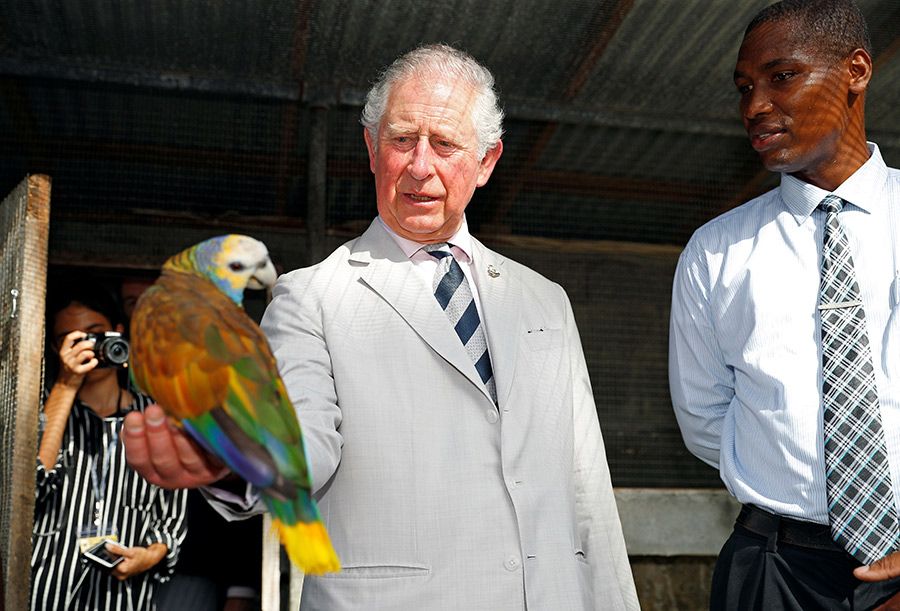 prince charles national bird