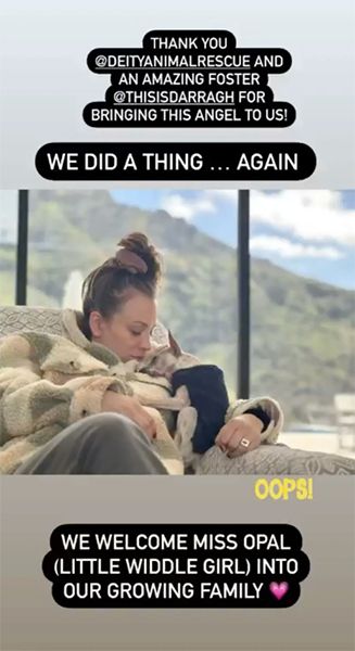 kaley cuoco cuddling new adopted puppy