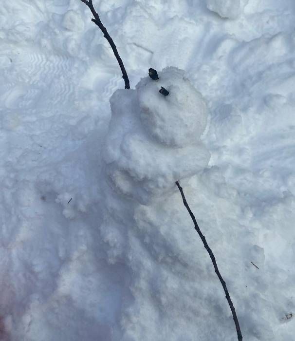 hoda kotb snowman