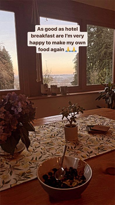 Dianne Buswell house kitchen view