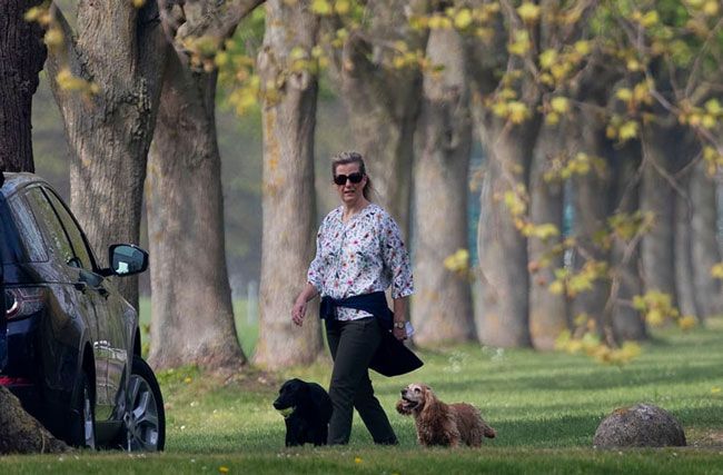 Countess of Wessex with her dogs