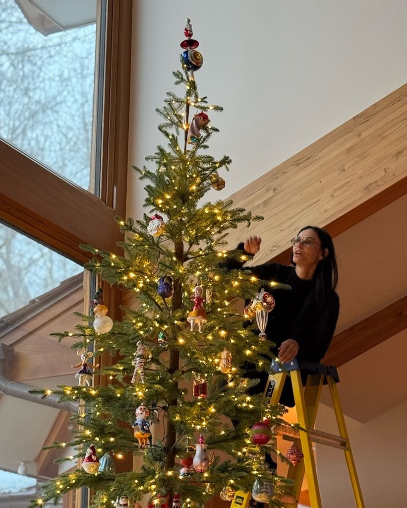 Demi needed a ladder to reach the tree