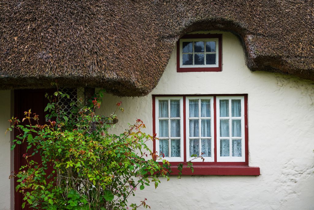 Ireland, County Limerick, Adare, Ireland's Prettiest Village, cottage details