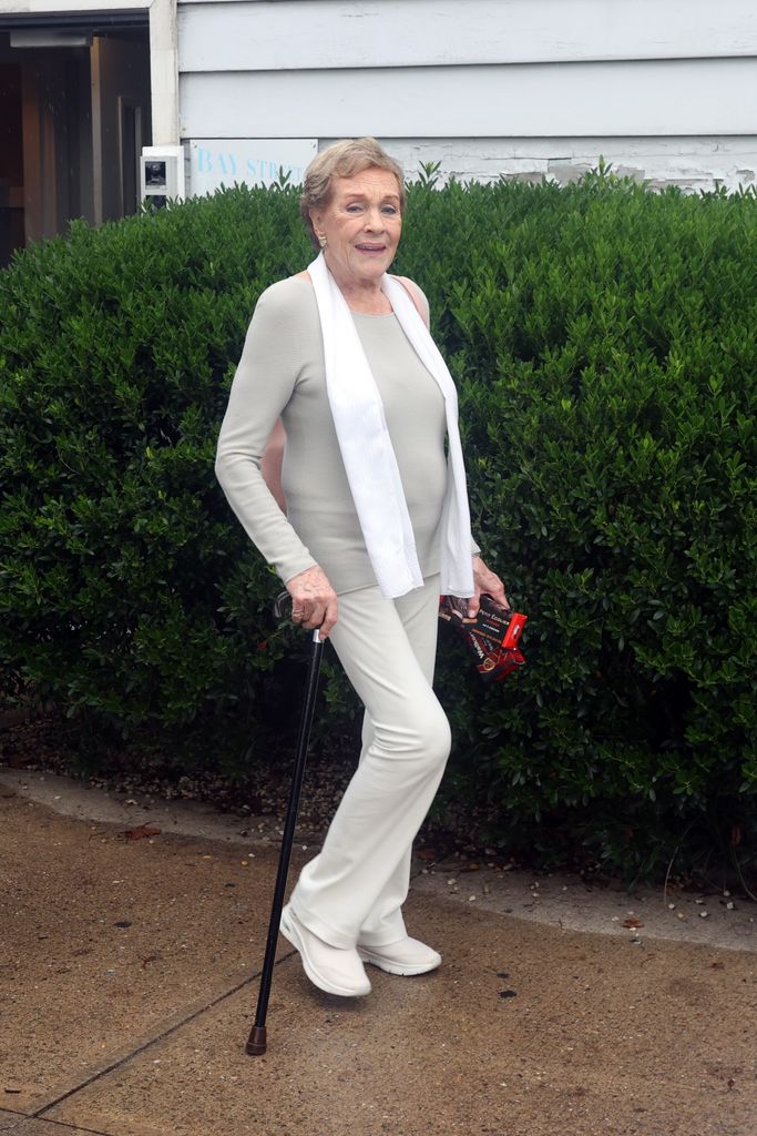 Julie Andrews spotted walking with the help of a cane 
