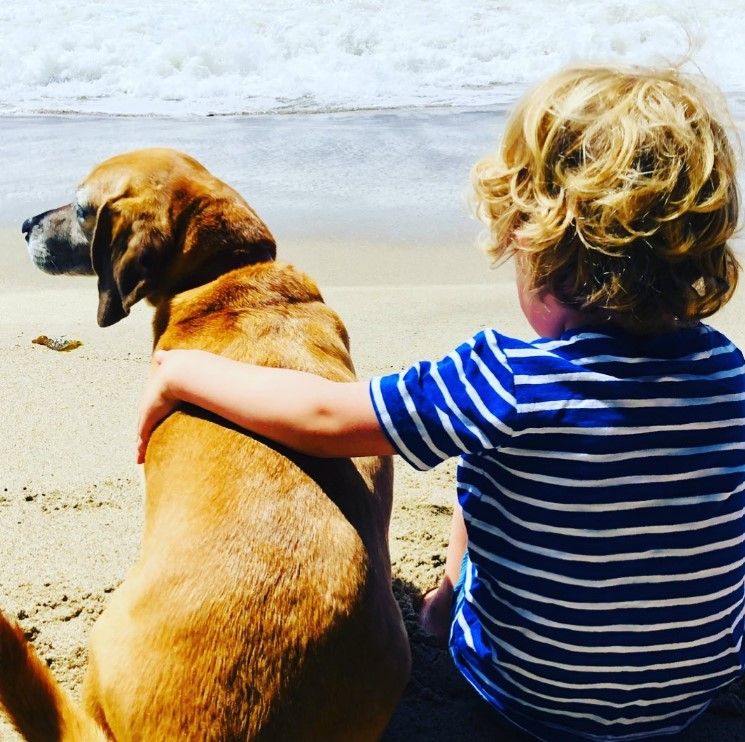 Cat Deeley's son and the family dog