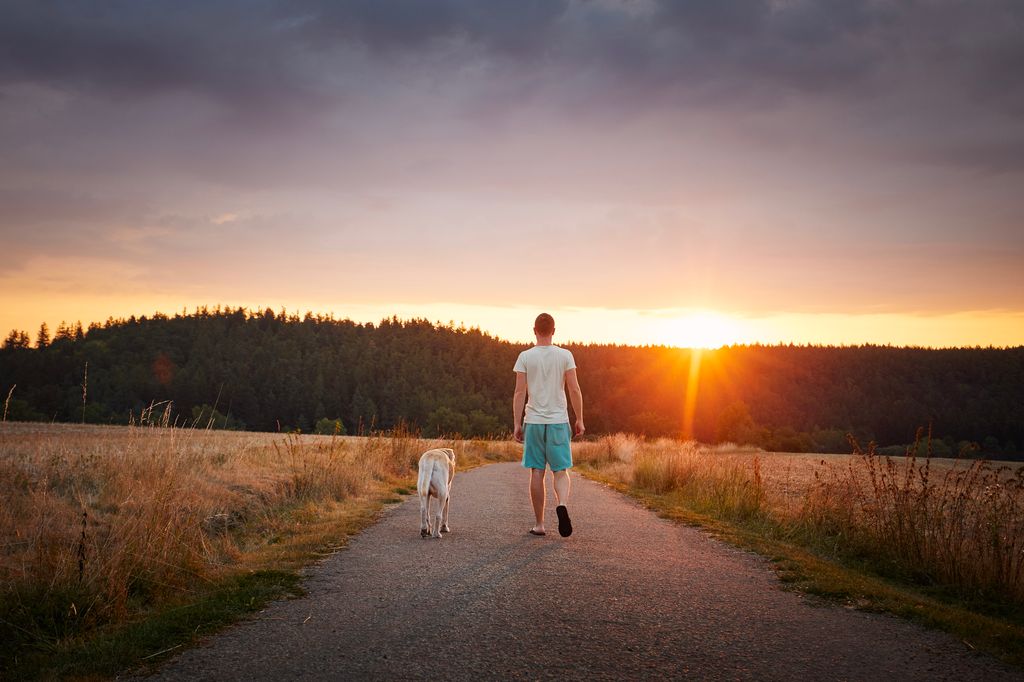 Pet owner and his labrador retriever walking in the sunset