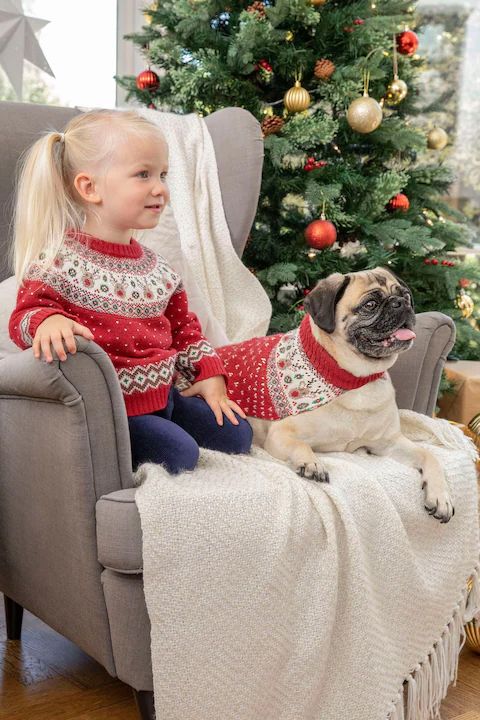 JoJo Maman Bébé Red Reindeer Fair Isle Pets Jumper