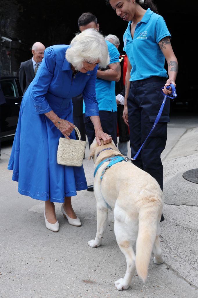 queen camilla stroking dog at battersea dogs and cats home