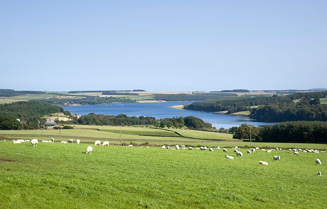 lord crewe arms resevoir