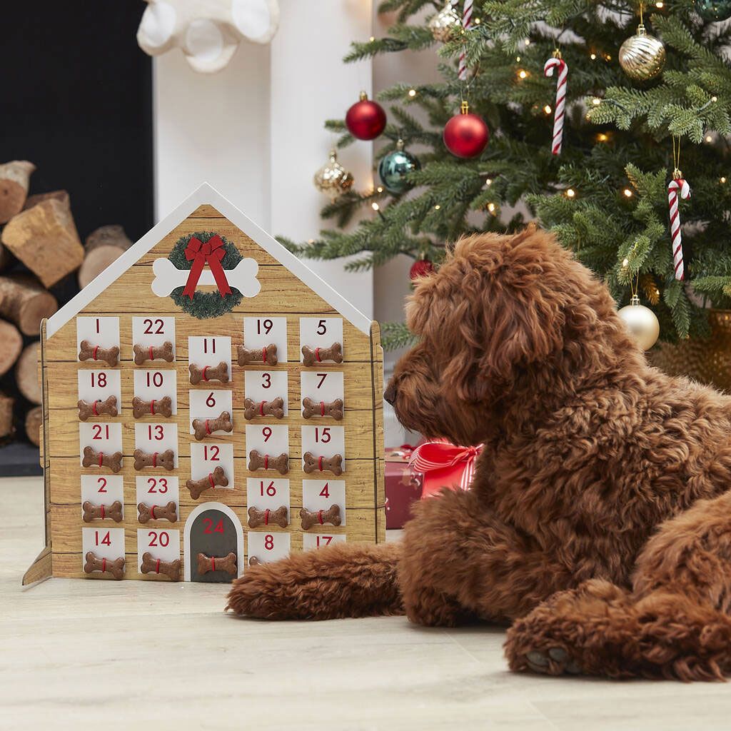 Ginger Ray Dog Advent Calendar