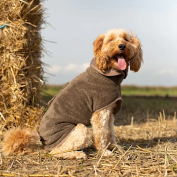 Mole Bamboo Drying Coat