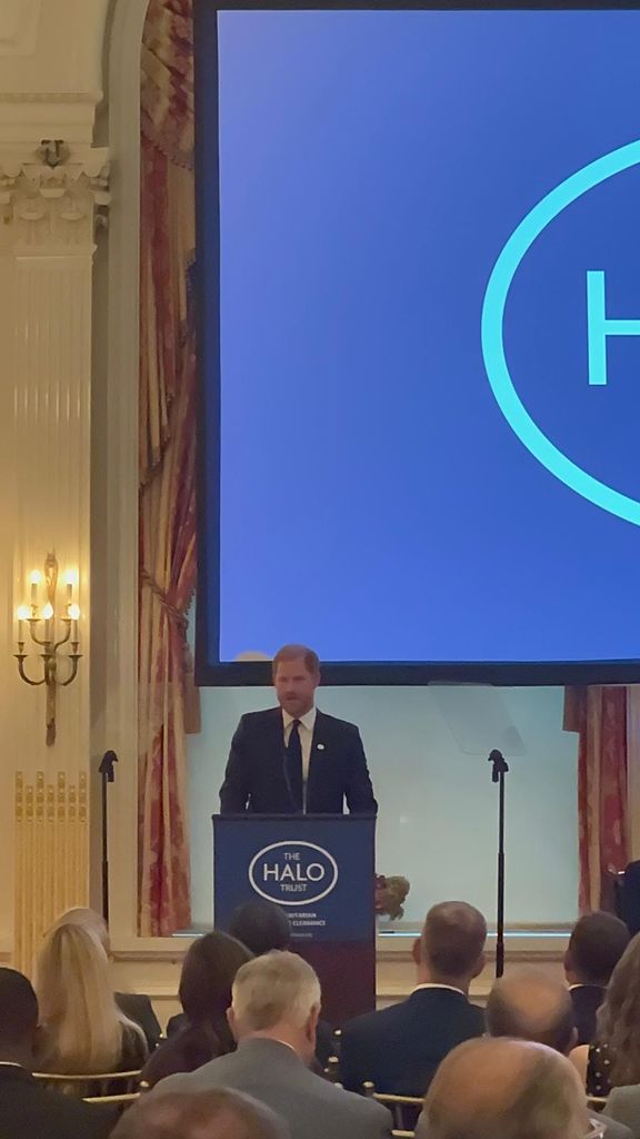 Prince Harry made reference to Princess Diana at a HALO Trust event in NYC 