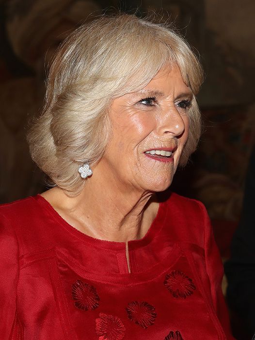 camilla parker bowles red dress
