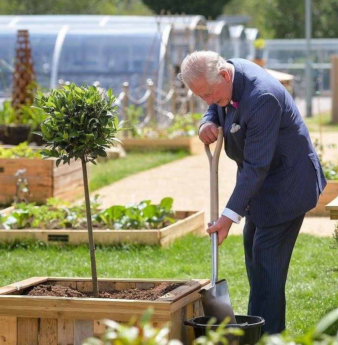 prince charles gardening z
