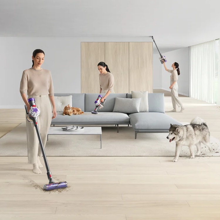 wayfair dyson sale