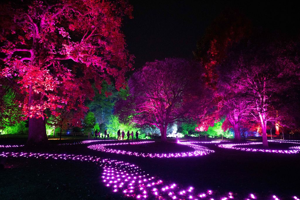 Members of the public experience an artwork entitled 'Sea of Light' on the 'Christmas at Dunham Massey' festive light art trail at the National Trust property near Altrincham, northeast England, on November 16, 2023. Dunham Massey, a historic stately home surrounded by gardens and a 300-acre deer park, is hosting their seventh annual Christmas light trail through the gardens which runs until New Year's Eve. (Photo by Oli SCARFF / AFP) / RESTRICTED TO EDITORIAL USE - MANDATORY MENTION OF THE ARTIST UPON PUBLICATION - TO ILLUSTRATE THE EVENT AS SPECIFIED IN THE CAPTION (Photo by OLI SCARFF/AFP via Getty Images)