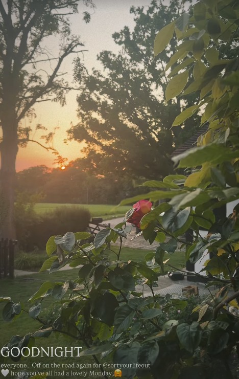 Shot of sunset overlooking garden lawn and trees