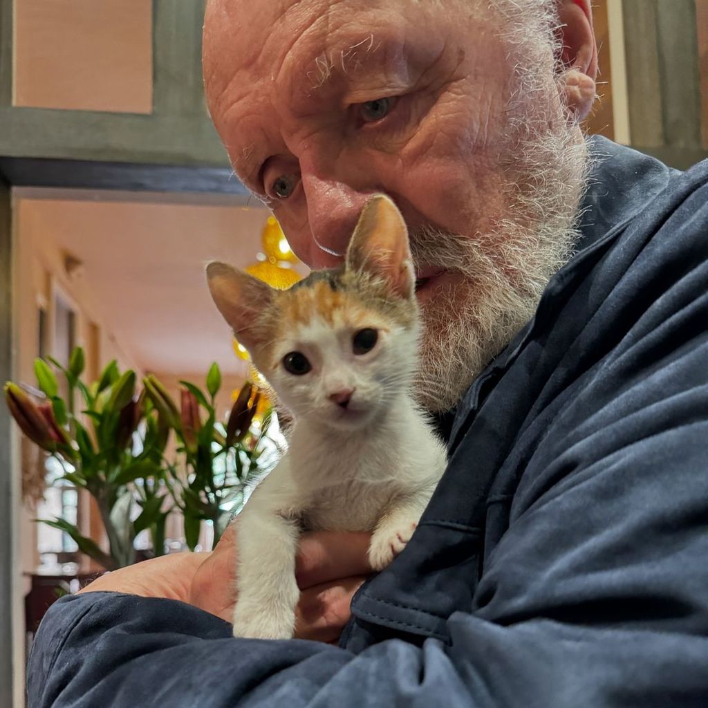 Anthony Hopkins cuddles a kitten