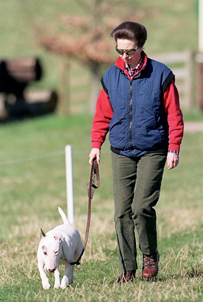 Princess Anne Walking Her Pet Bull Terrier Dog At Gatcombe Park Horse Trials,