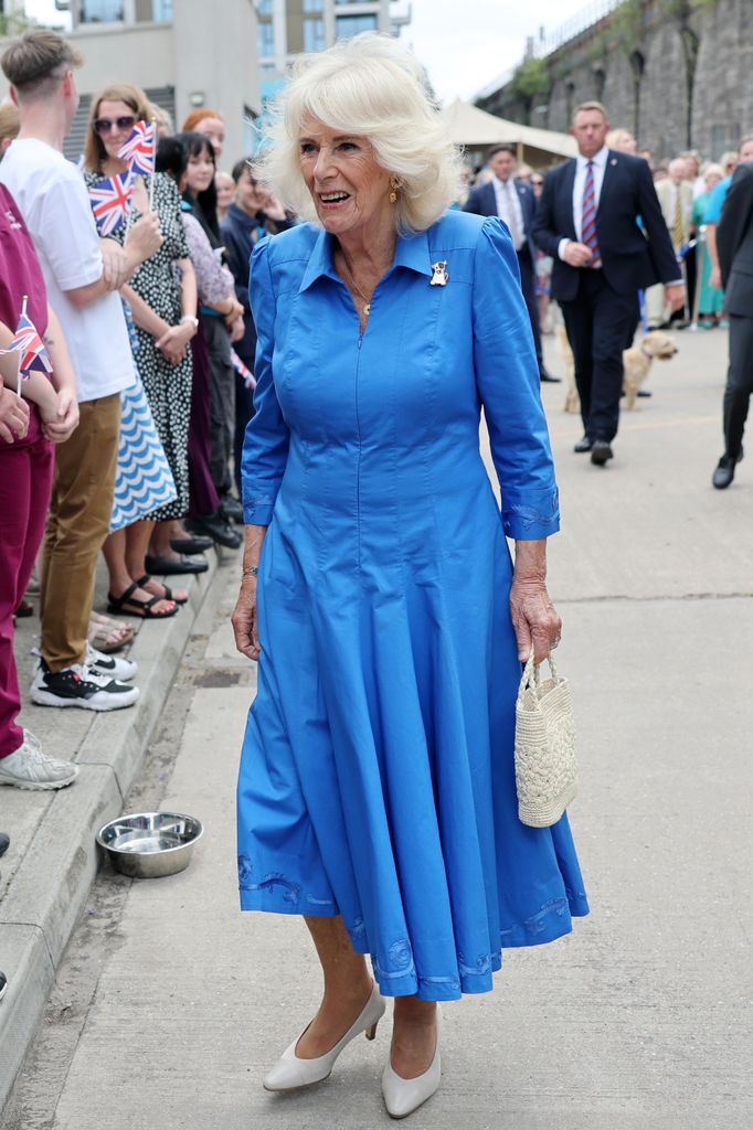 camilla in blue dress during visit to battersea dogs and cats home