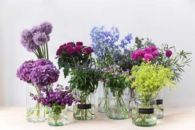 Lavender Green Flowers home delivery