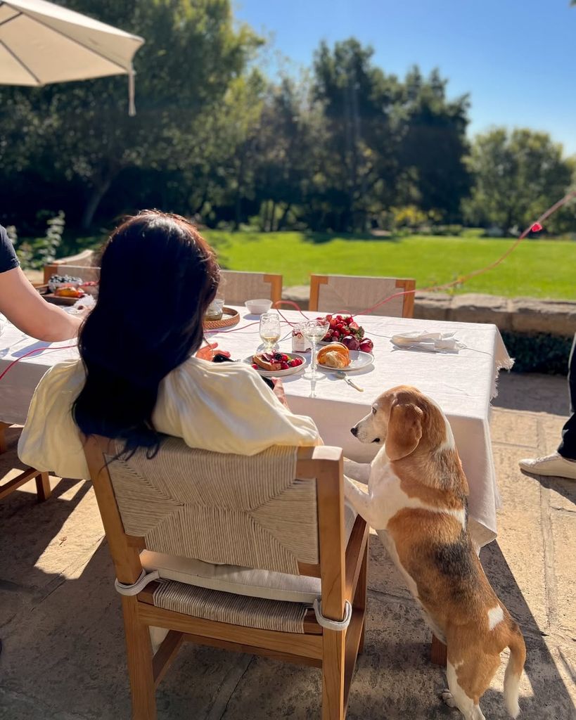 Meghan Markle sitting in her garden facing away, with her dog by her side 