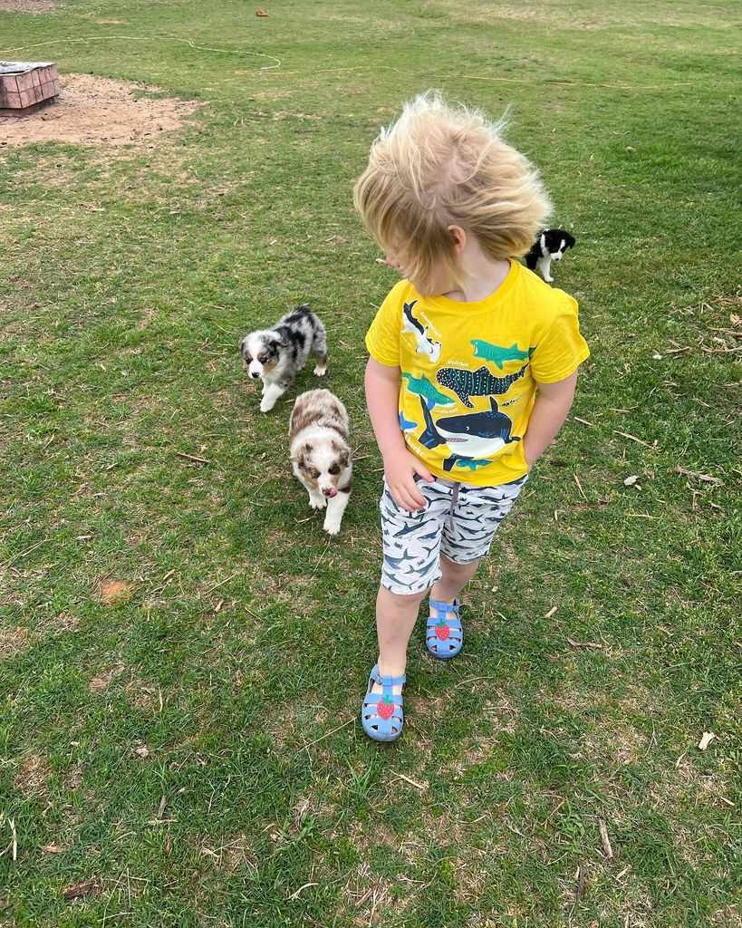 young boy walking with puppies 