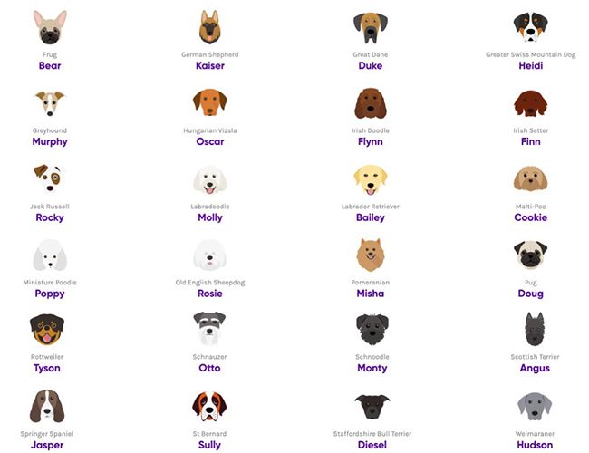 dog breeds two