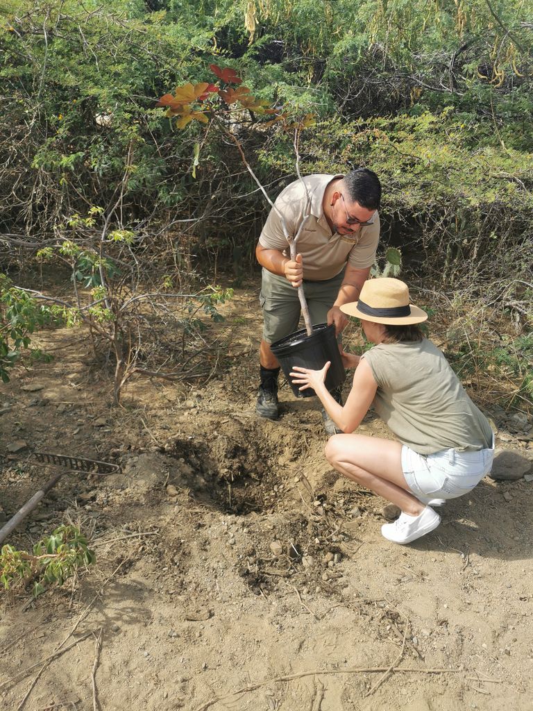Celebrating Earth Day at Arikok National Park by planting a tree