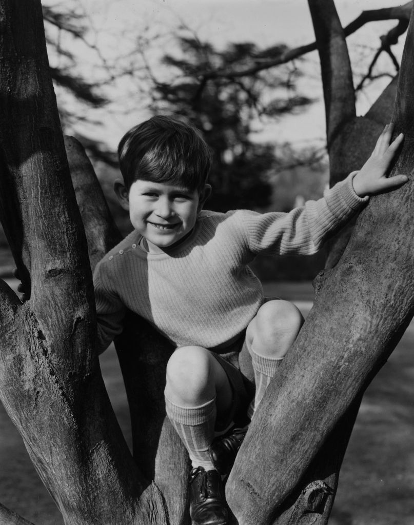 Charles climbing a tree at Royal Lodge, Windsor