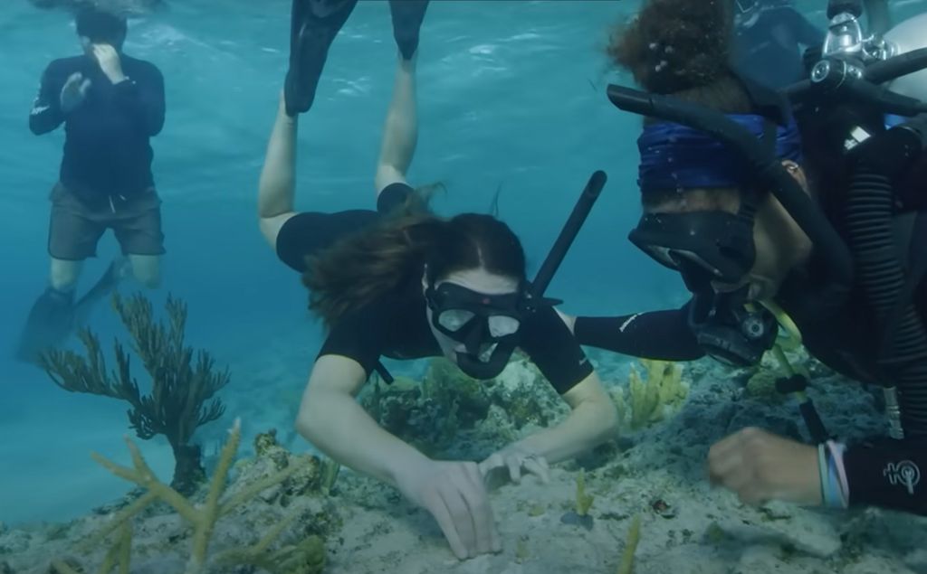 Kate Middleton holding onto coral underwater