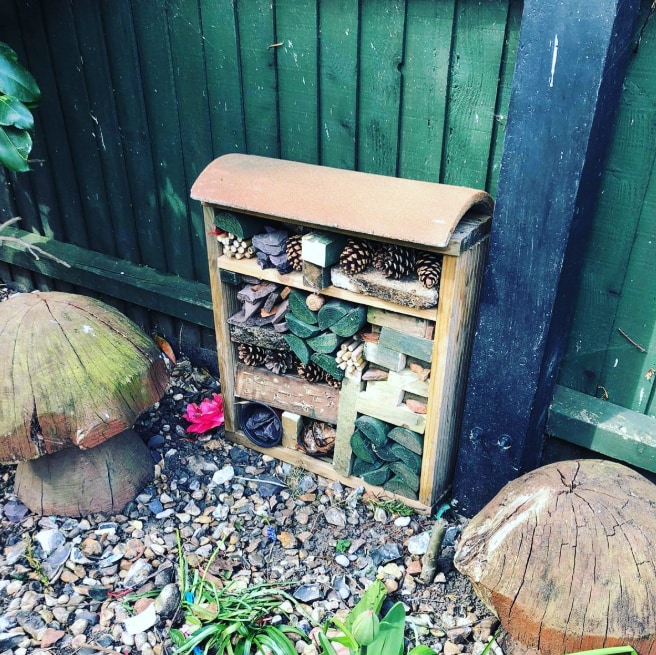 bug hotel in garden