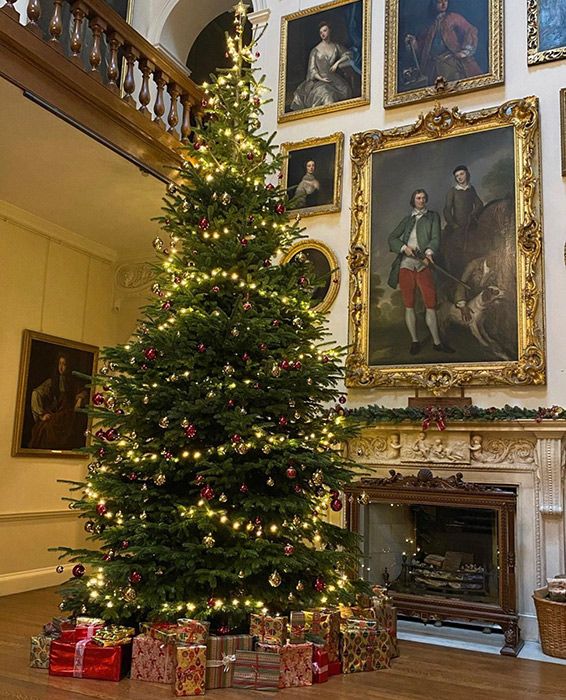 Charles Spencer unveils SPECTACULAR Christmas tree at Princess Diana's ...