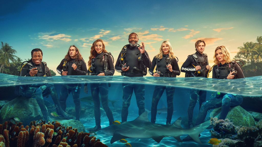 group of people wearing diving gear standing in water with sharks