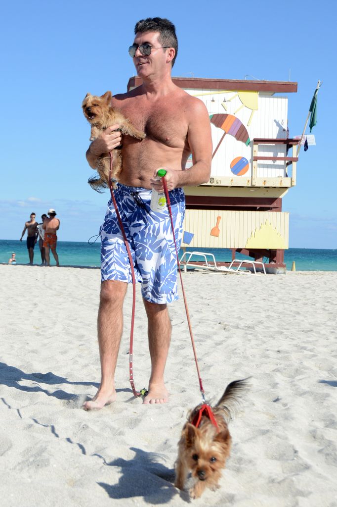 Simon Cowell walks his dogs on the beach on March 1, 2014