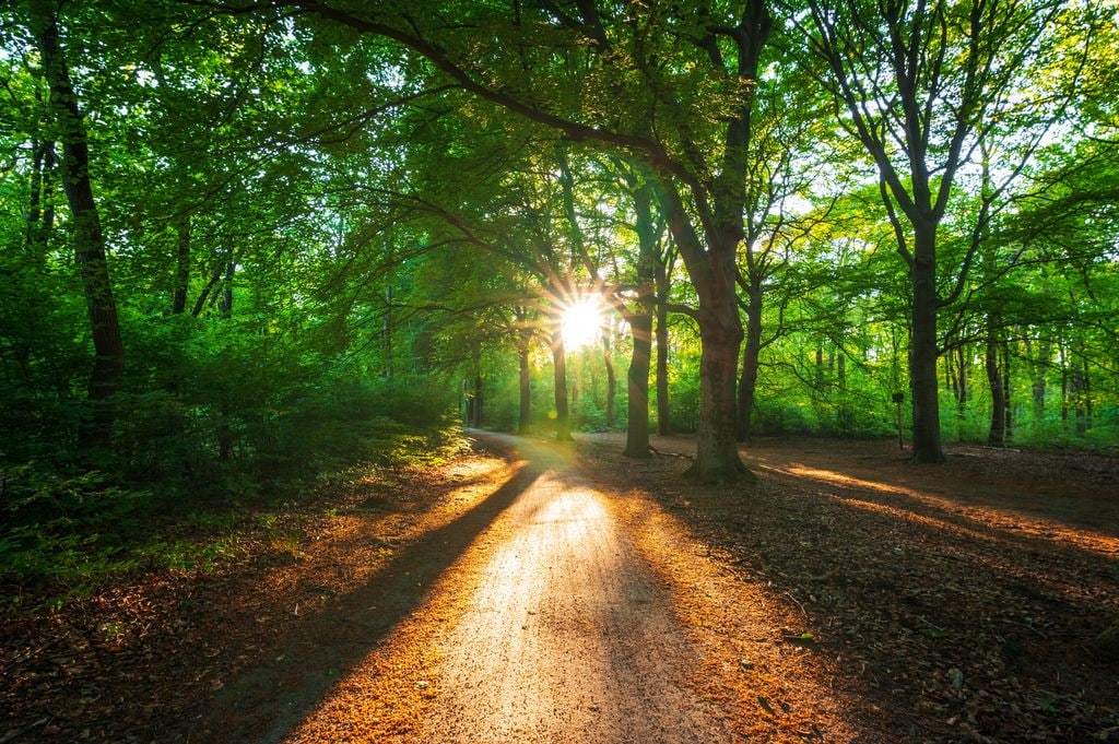 Celebrating nature's cycles is key, says Emma